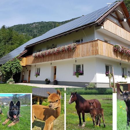 Domacija Loncnar- Apartment Bohinj ภายนอก รูปภาพ