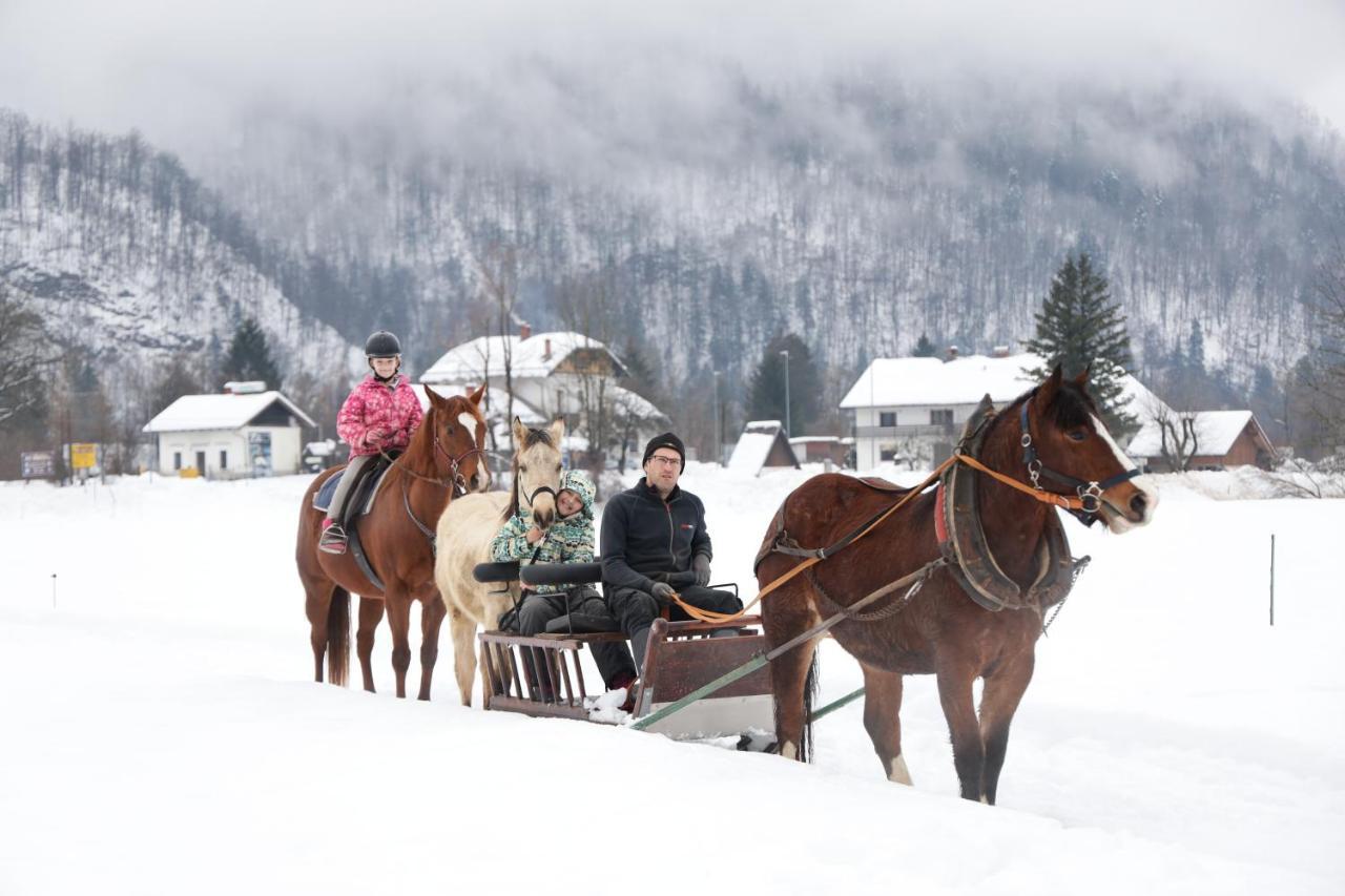 Domacija Loncnar- Apartment Bohinj ภายนอก รูปภาพ