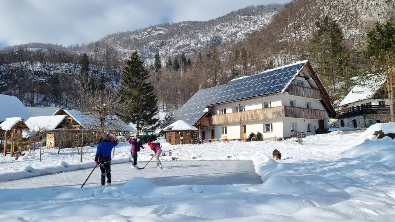 Domacija Loncnar- Apartment Bohinj ภายนอก รูปภาพ
