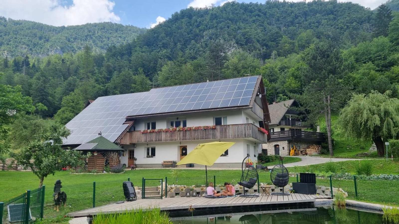 Domacija Loncnar- Apartment Bohinj ภายนอก รูปภาพ