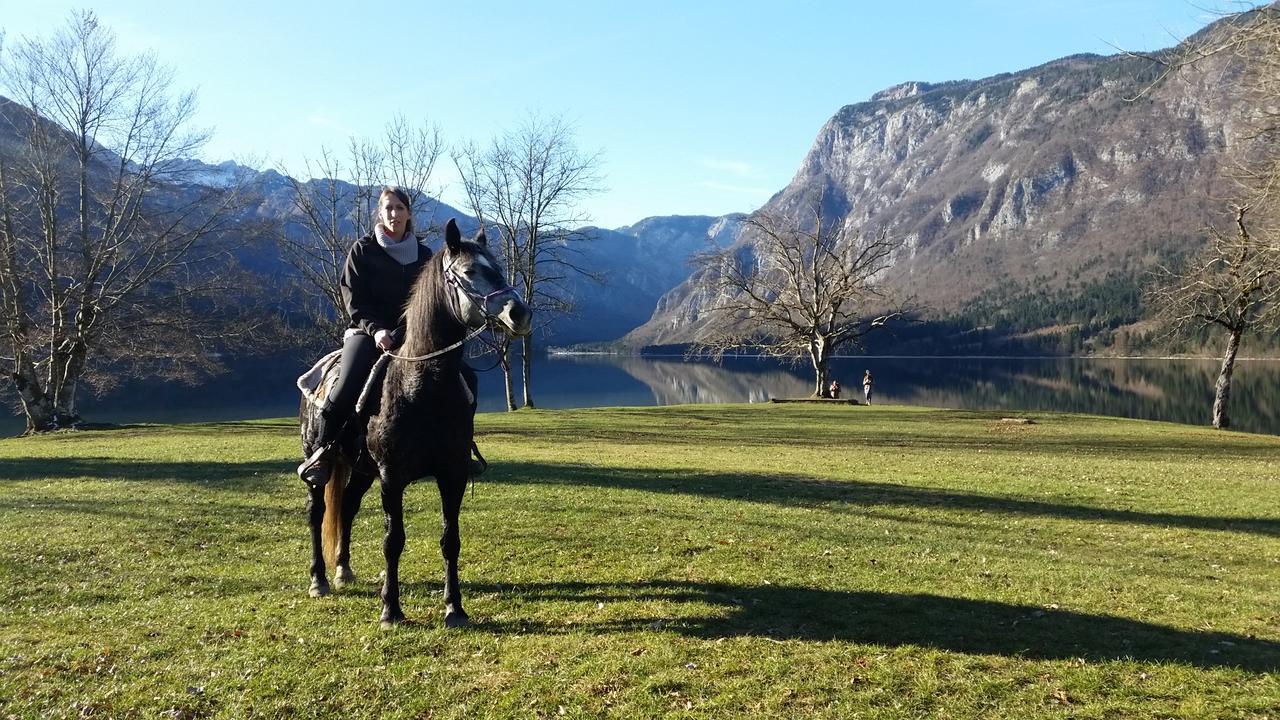 Domacija Loncnar- Apartment Bohinj ภายนอก รูปภาพ
