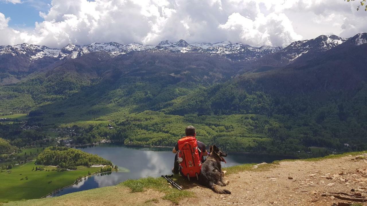 Domacija Loncnar- Apartment Bohinj ภายนอก รูปภาพ