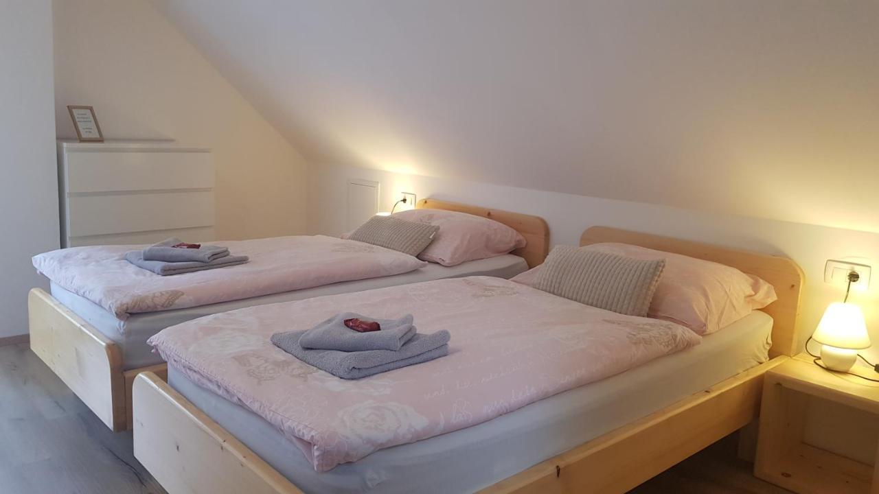 Domacija Loncnar- Apartment Bohinj ภายนอก รูปภาพ